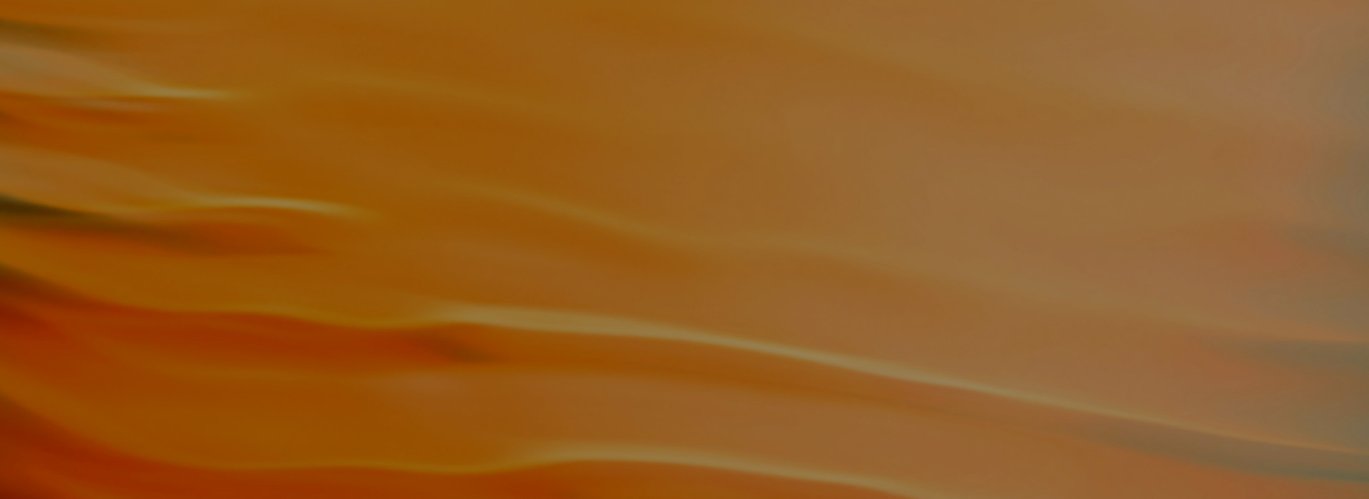 진료시간 및 오시는길