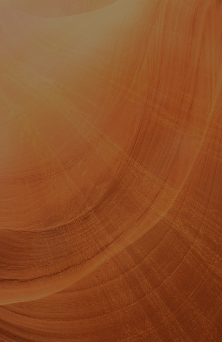 원데이 프로그램