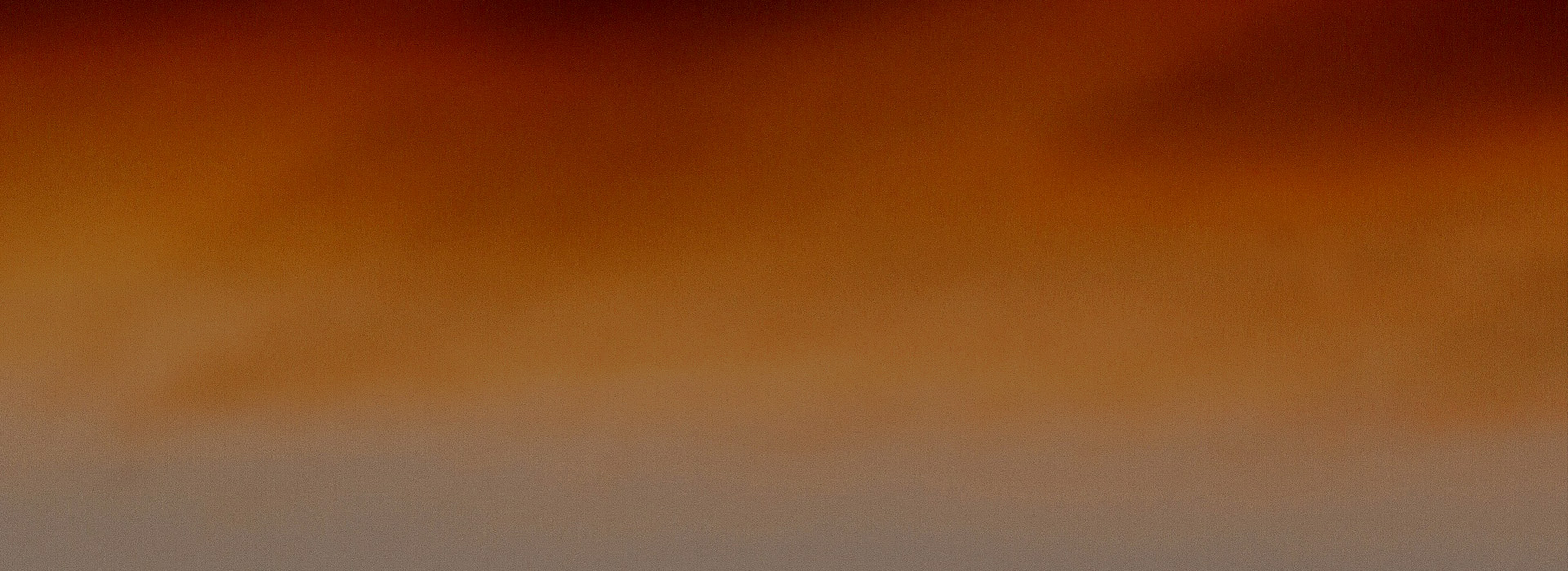 바른이의 치료 철학